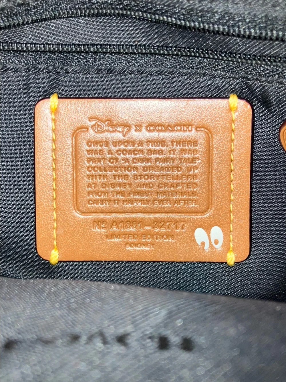 Coach disney limited